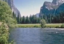 Yosemite Cedar Package (2 Days)